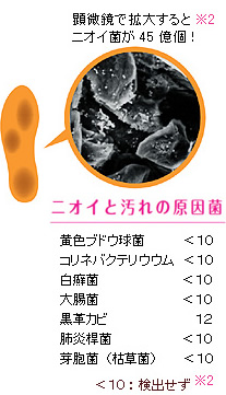 ニオイと汚れの原因菌