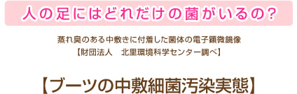 人の足にはどれだけの菌がいるの？