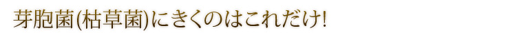 芽胞菌(枯草菌)にきくのはこれだけ!