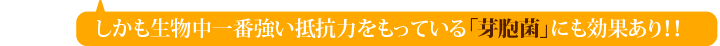 芽胞菌にも効果あり