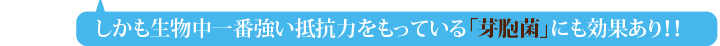 芽胞菌にも効果あり