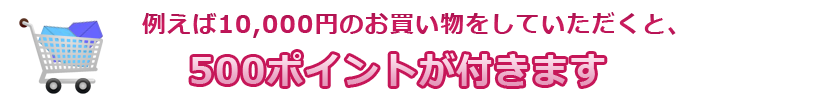 500ポイントが付きます